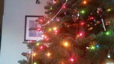 ravefuge's profile picture. 