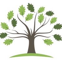 Lawn Primary School 🌳 (@lawn_primary) 's Twitter Profile Photo