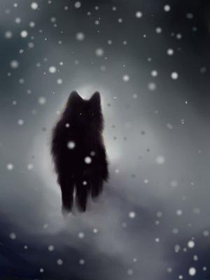 Hi there! My name's Shade! I'm a lonewolf. i hunt alone, i live alone. #male #straight #single