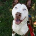 Gina  - @_AndyValadez - Twitter