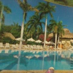 edo_1515's profile picture. 