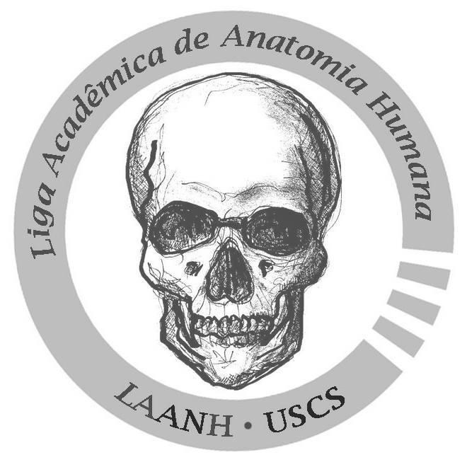 laanh_uscs's profile picture. 