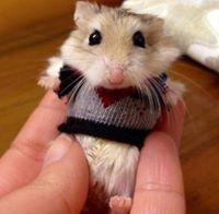 Please bitch, I'm Flawless