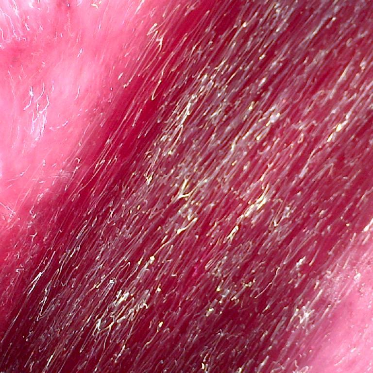 AnnSperling's profile picture. Winemaker Versado Mendoza Sperling BC Southbrook ON organic biodynamic