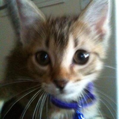 _Astack_'s profile picture. 