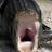 Shawn82538349's profile image