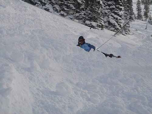 day2day's profile picture. 