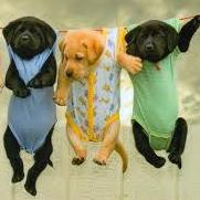 posumen99's profile picture. 