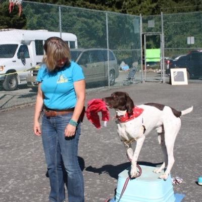 Godoggodogs's profile picture. We are honoured to be Vancouver Island's first choice for professional dog training. Dog friendly Dog training, dog exercise, Trick performance dogs.