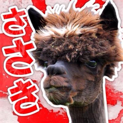 ささき(ただのささき)さんのプロフィール画像