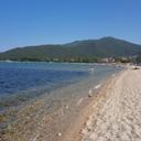 Nada Nikolic - @N61Nada - Twitter