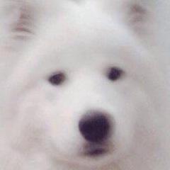 the iegal chilean thats autistic