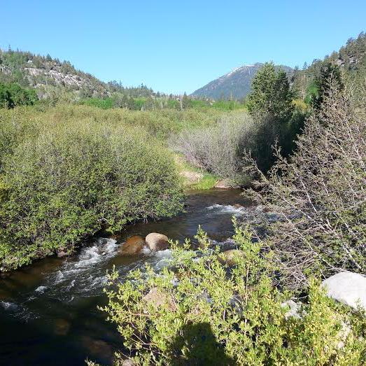 NevadaWater's profile picture. News & info on the state's water resources, focused on northern Nevada. Also NV wildfires, weather, wildlife, other water links. NOT affiliated w/ state gov't.