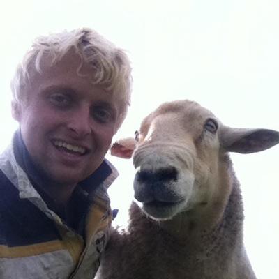 georgekentinton's profile picture. 2nd generation livestock farmer (and a bit of arable) in the south east of England. Conventional and organic!
