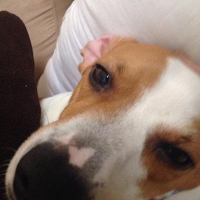 lanelleharvey43's profile picture. 