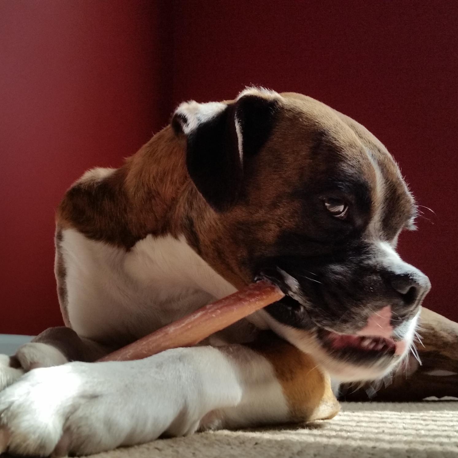 stephenloch's profile picture. 