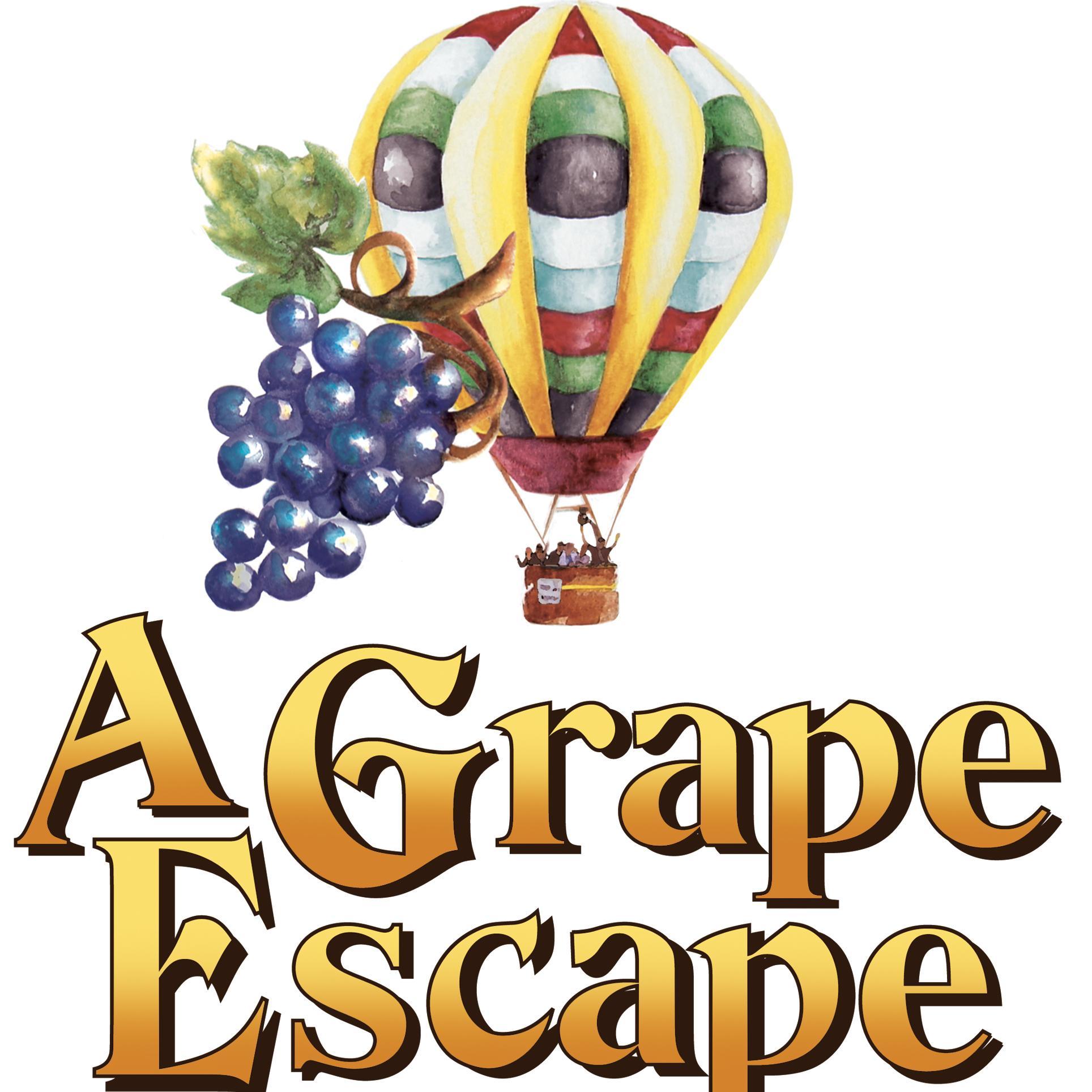 Sunrise hot air balloon flights over the Temecula Valley wine Country in Southern California.