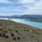 magali_amiel's profile image