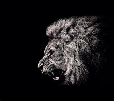 E3xotic_ViZioN's profile picture. sub to my YouTube channel