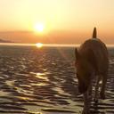 Christopher Abbott - @coburn1002 - Twitter