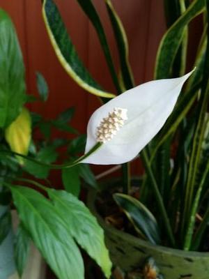 xngk1831's profile picture. 