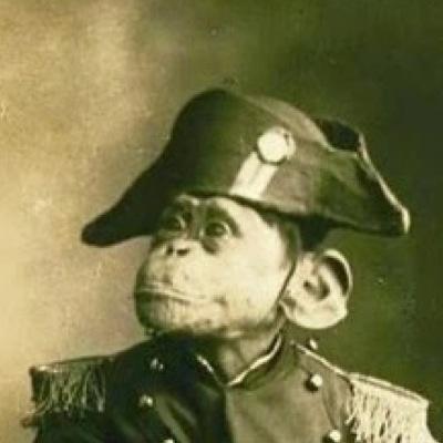 hi