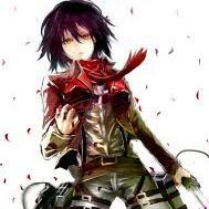 Im Mikasa,Im in The Survey Corps, with Erin and Armin  Im 15,a hunter of titans,or anyone else . I only care for my half brother SNK RWBY RP crossover