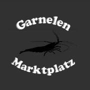 Hier können Sie verschiedene Garnelenarten, Schnecken, Wasserpflanzen, Moose, Naturprodukte, Zubehör und vieles mehr KOSTENLOS anbieten oder selbst suchen.