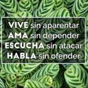 Marlene Salas - @marlesalas69 - Twitter