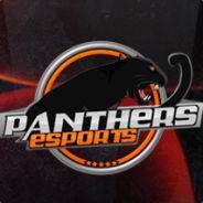 PanthersEsports's profile picture. Our new twitter is @OficialPanthers