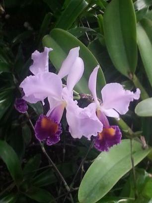 kthorped's profile picture. 