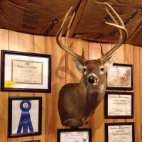 outback hunt club - @whitley_patty Twitter Profile Photo