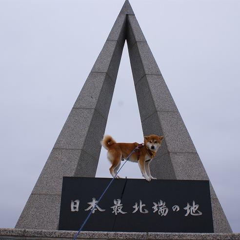 虎哲パパさんのプロフィール画像