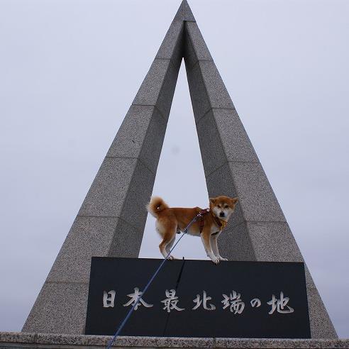 柴犬と北海道が大好きな虎哲パパです。阪神タイガース、岡村孝子さん、鉄道、プロレス、Star Trekも愛してます。
嫌いなものは反日左翼、破壊的カルト宗教、常識のないＤＱＮ。