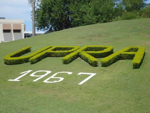 Universidad de Puerto Rico en Arecibo