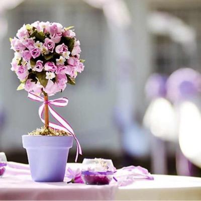 ﴿ رَبِّ اغْفِر لِي وَلِوَالِدَيّ ﴾ 💕