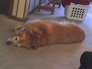 jgconnell's profile picture. 