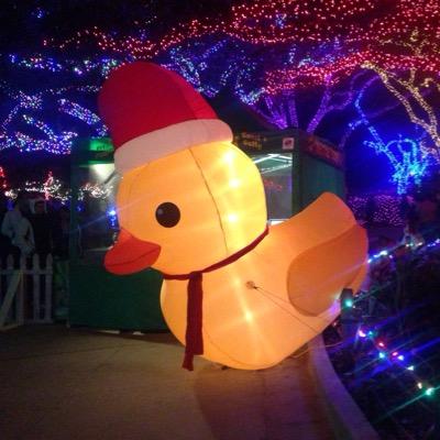 raquelromo's profile picture. 