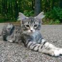 Daryl Horne - @mrchew2000 - Twitter