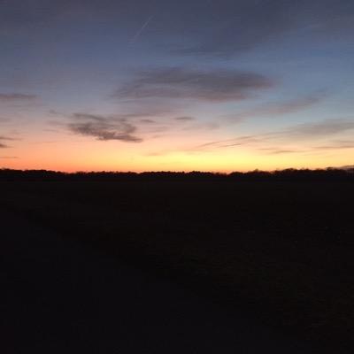 callinectesva's profile picture. 