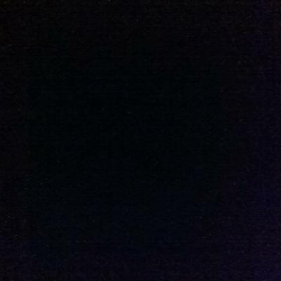 saribarovero's profile picture. 