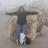 DentonAnita's profile image