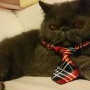 Peggy Yip - @peggy_yip - Twitter