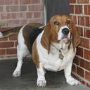 Donald Irwin-Harris - @dwihtulsa - Twitter