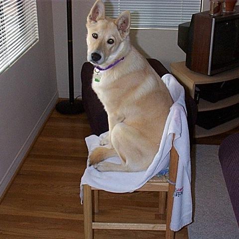 williamklem1's profile picture. a humble guy with healthy desires, and author of Magglio Cervantes, https://t.co/HEfQ27Ybja