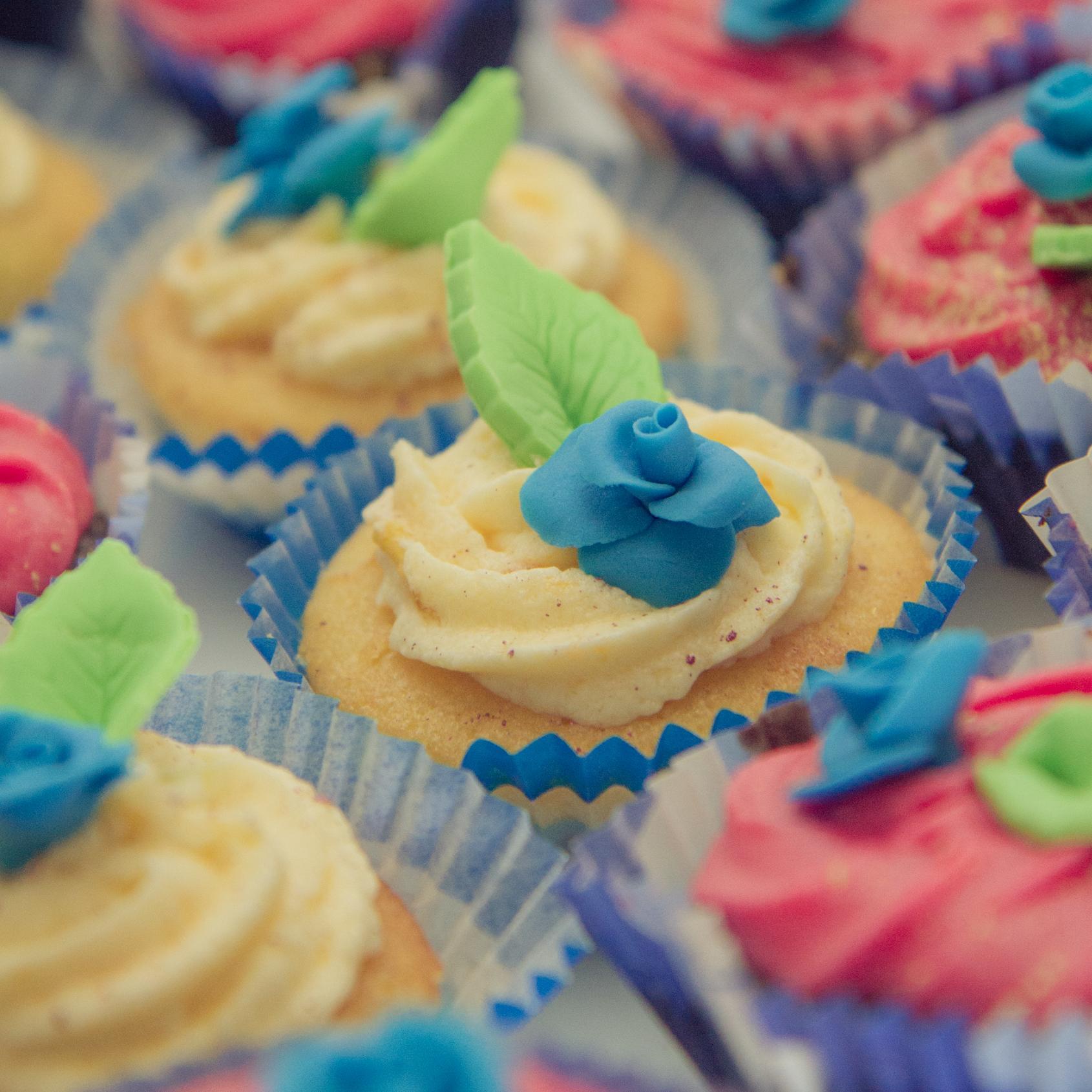 lostponchonz's profile picture. Interests: reading about history, playing video/board games, game & web development, programming, cricket.