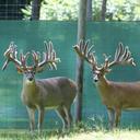 Josh Newton - @cervidsolutions - Twitter