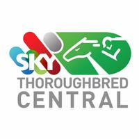 Thoroughbred Central (@skytbredcentral) 's Twitter Profile