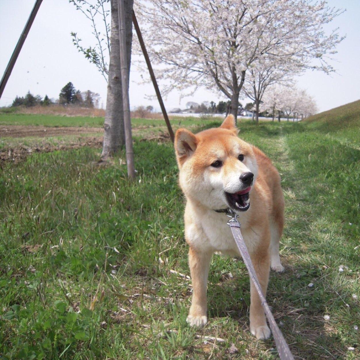 「Where there is a will, there is a way.」