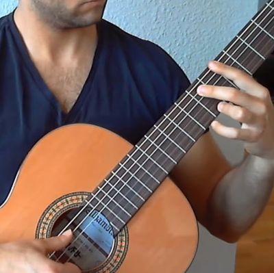 Fingerstyle Guitar arranger and performer